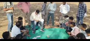 बड़वानी में जुआ खेलते 11 गिरफ्तारः पुलिस ने मौके से नकदी और ताश के पत्ते बरामद किए ।