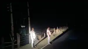 बिजली विभाग को लाखों की चपत, चार गांवों में 11 केवी कृषि फीडरों से तार चोरी, कई खंभे क्षतिग्रस्त