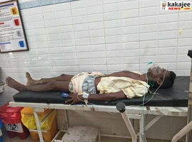 दंतैल हाथी ने ग्रामीण को पटककर किया घायल, तालाब में दातून करते समय किया हमला