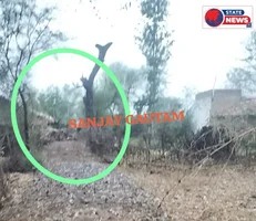 सरपंच पर निजी भूमि पर सड़क बनाने का आरोप