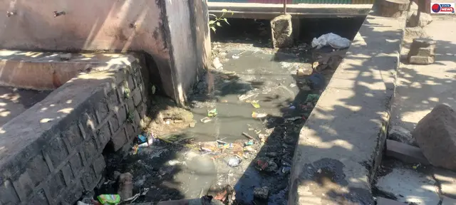 मच्छरों की भरमार से बेहाल पेटलावद, नगर परिषद की व्यवस्था पर उठे सवाल