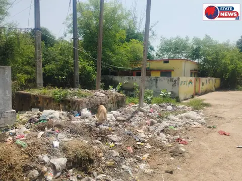 धरातल पर कचरा कागजों में सफाई का दावा
