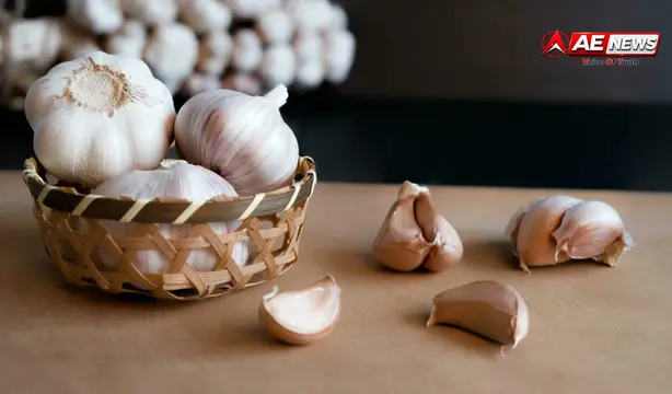 सुबह खाली पेट कच्चा लहसुन: सेहत के लिए वरदान या पाचन के लिए जोखिम? जानिए औषधीय गुण, सही मात्रा और सेवन का वैज्ञानिक तरीका