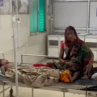 पन्ना में आवारा कुत्तों का आतंक: दो बच्चियों पर हमला, अस्पताल में भर्ती, जनता में डर