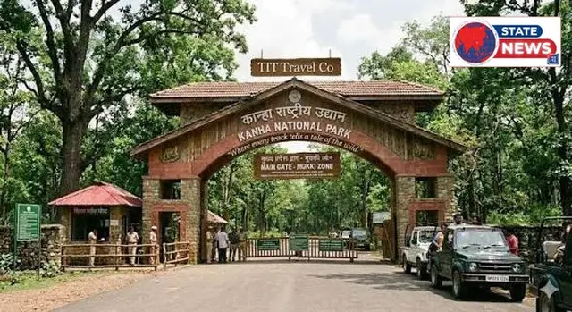 विलुप्त होने की कगार से बचा बारहसिंगा कान्हा नेशनल पार्क में आयी खुशियां