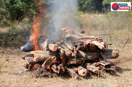 महामन बीट में करंट से चीतल की मौत,खेत की फेंसिंग में मिला विद्युत कनेक्शन धमोखर में वन्यजीवों की सुरक्षा पर फिर उठे सवाल_*  _बांधव