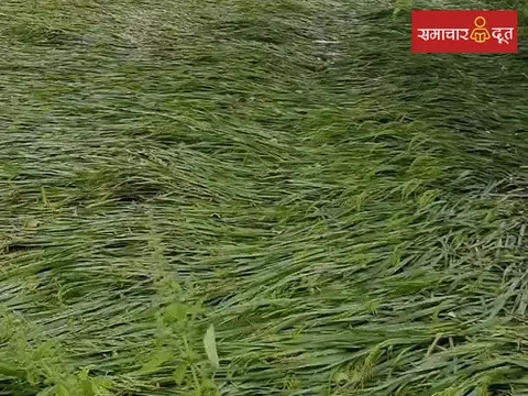 अर्नब तूफान का असर घटा, छत्तीसगढ़ में बढ़ेगी गर्मी, तापमान 3-5 डिग्री तक बढ़ने की संभावना